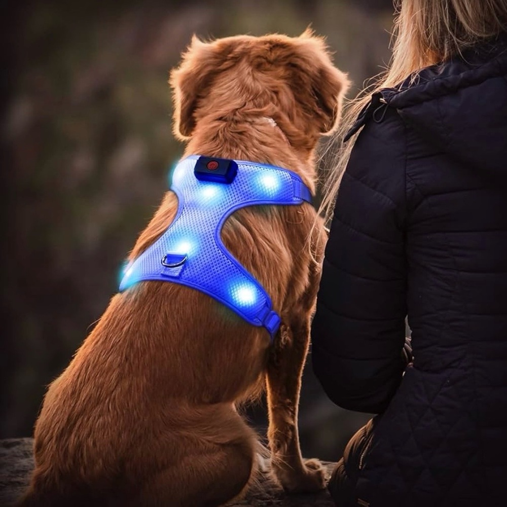 Rechargeable Light-Up LED Dog Harness